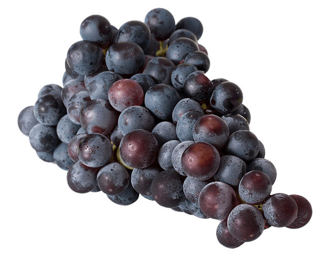 Rode wijn past ideaal bij een goed gerecht